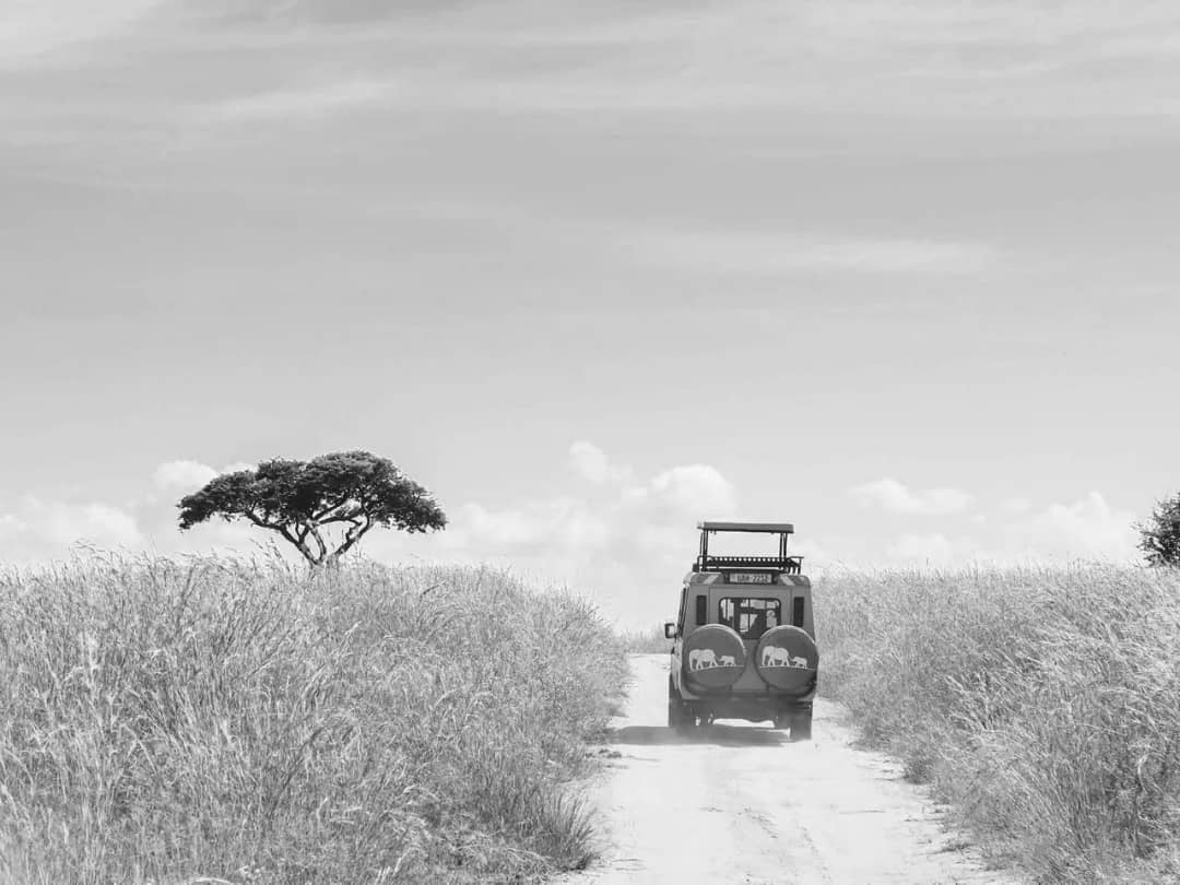 Navigate Safaris