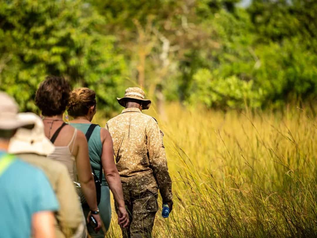 Guided nature walks