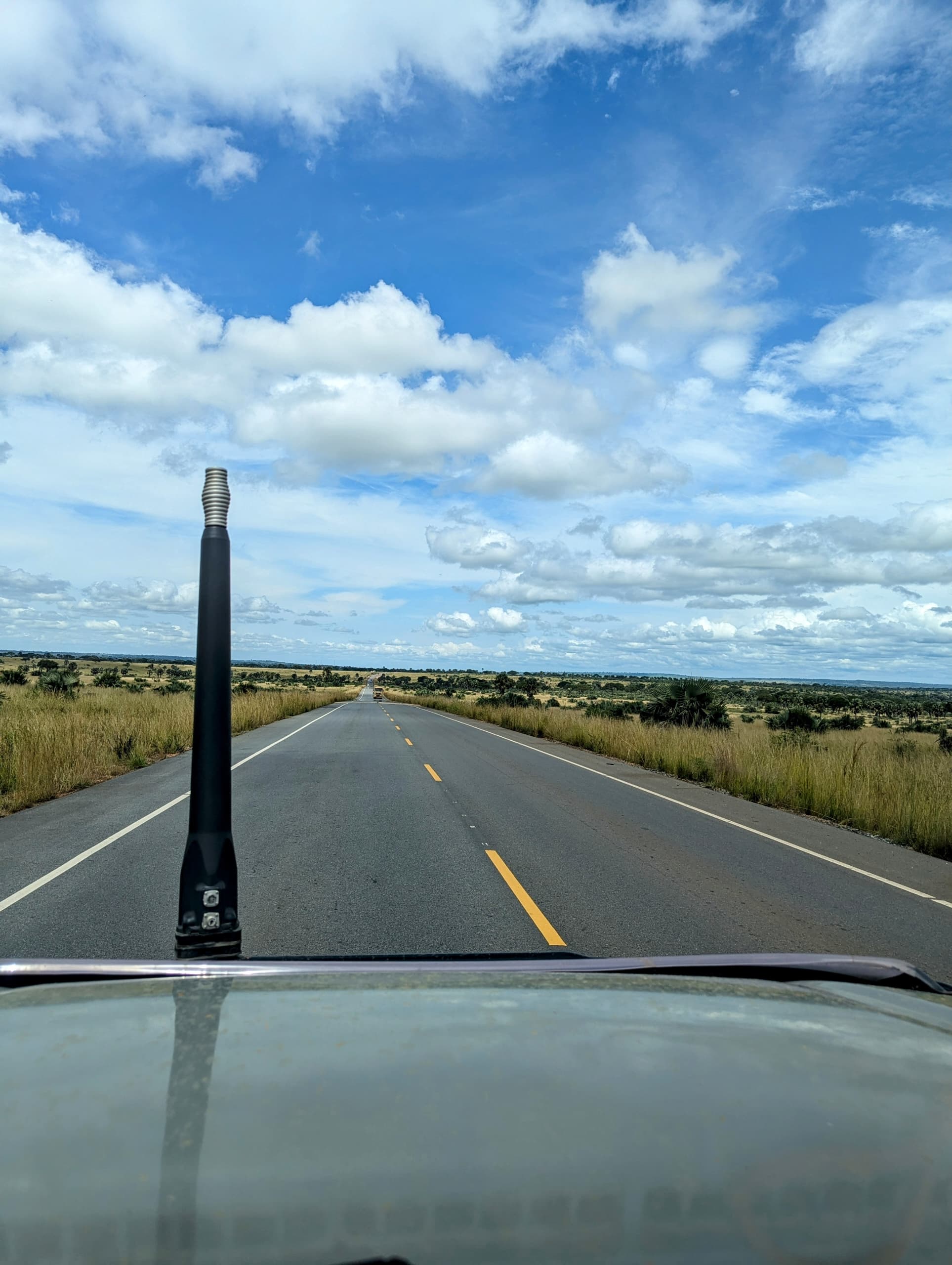 On safari