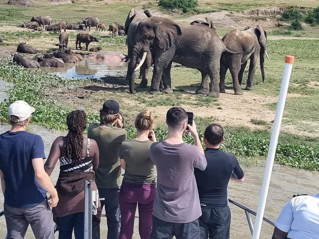 Water safari.