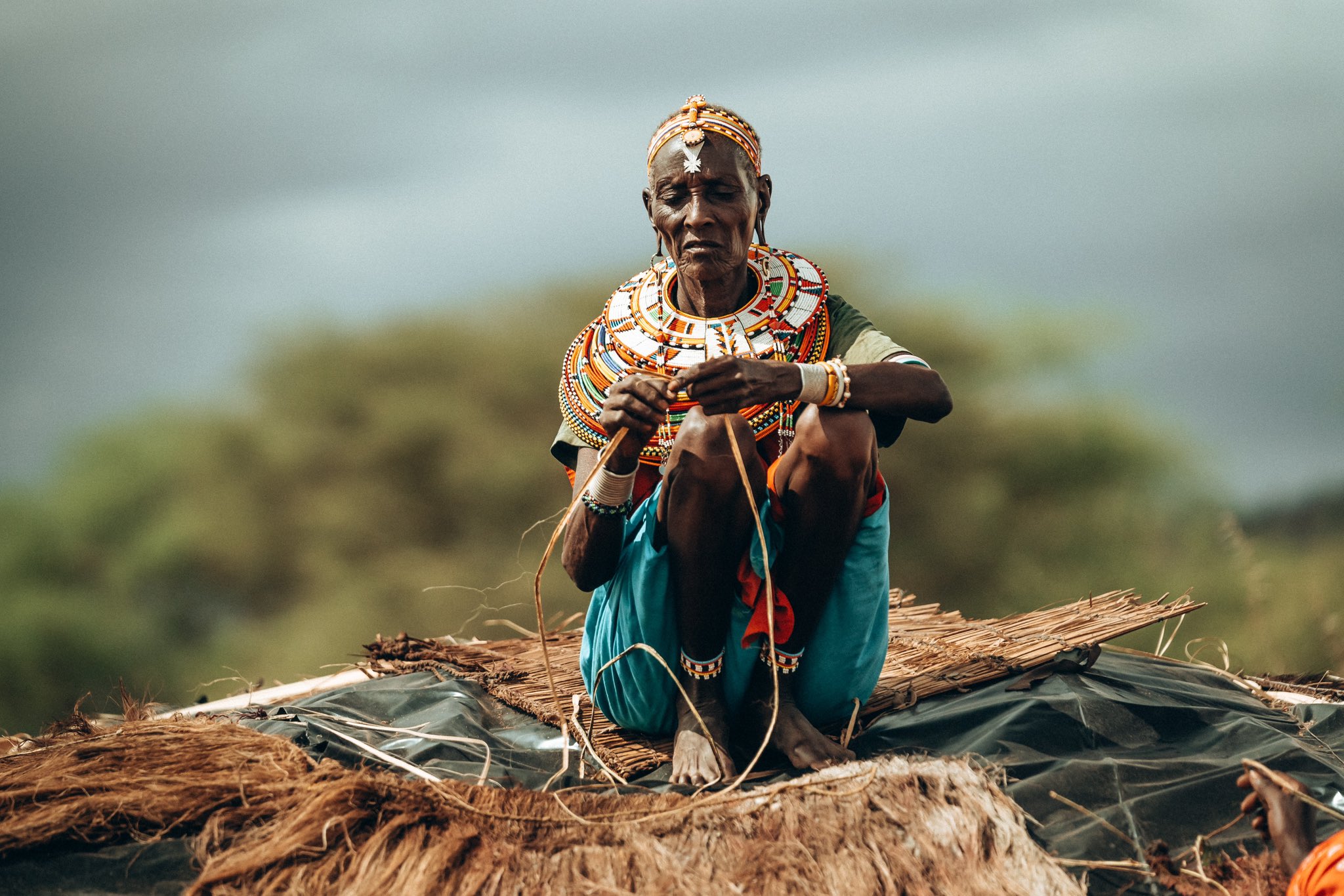Cultures