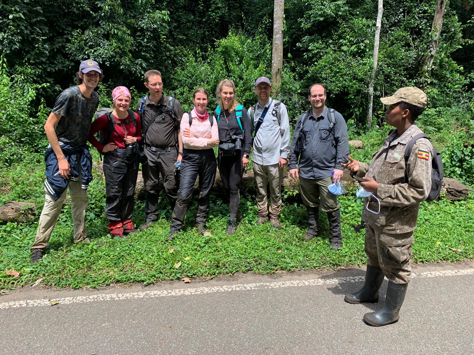Chimpanzee tracking