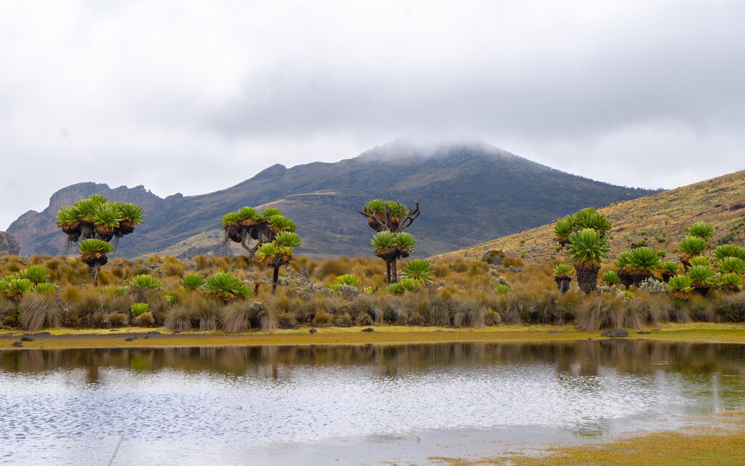 Mountain Elgon