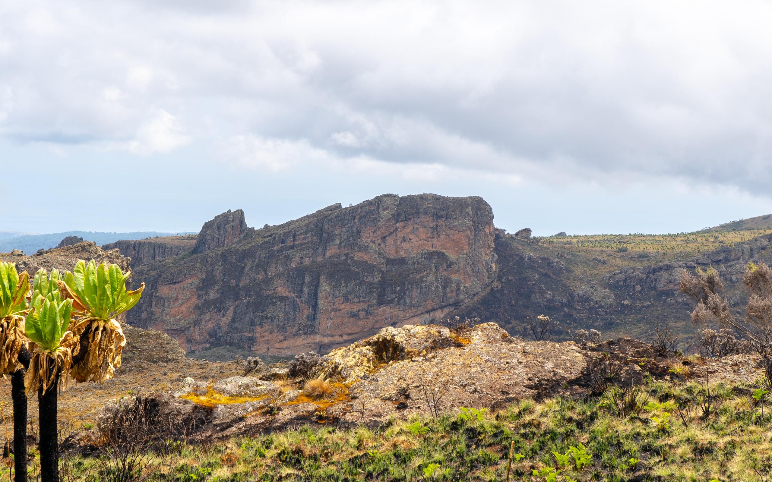 Mountain Elgon