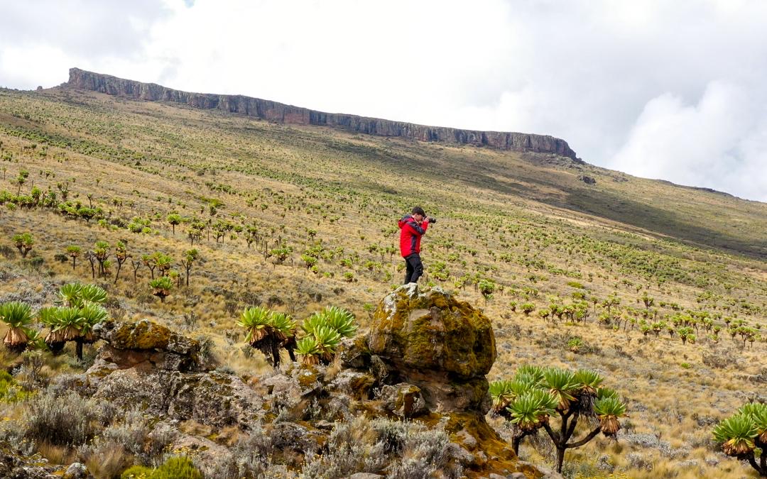Discover Elgon