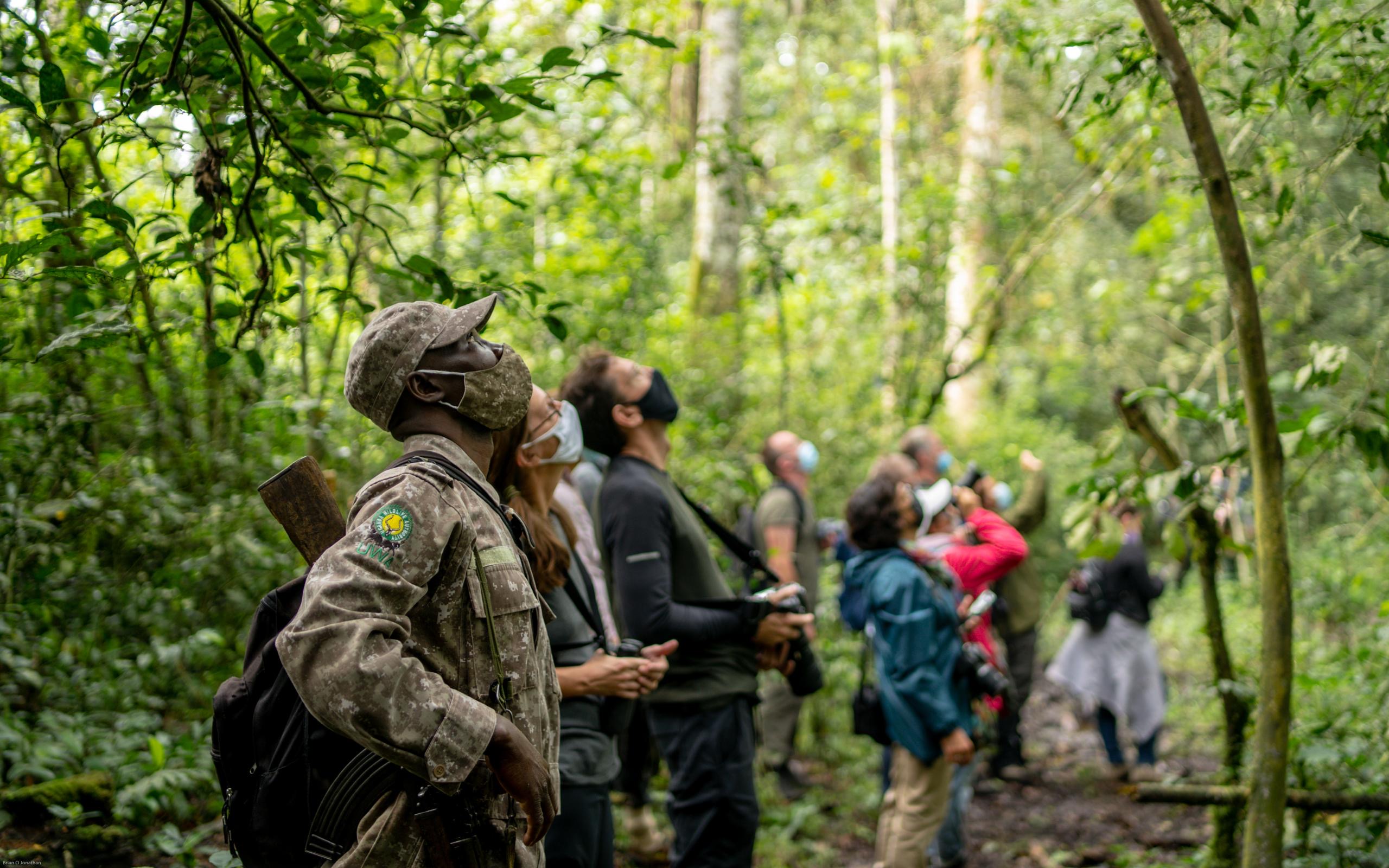 Kibale National Park