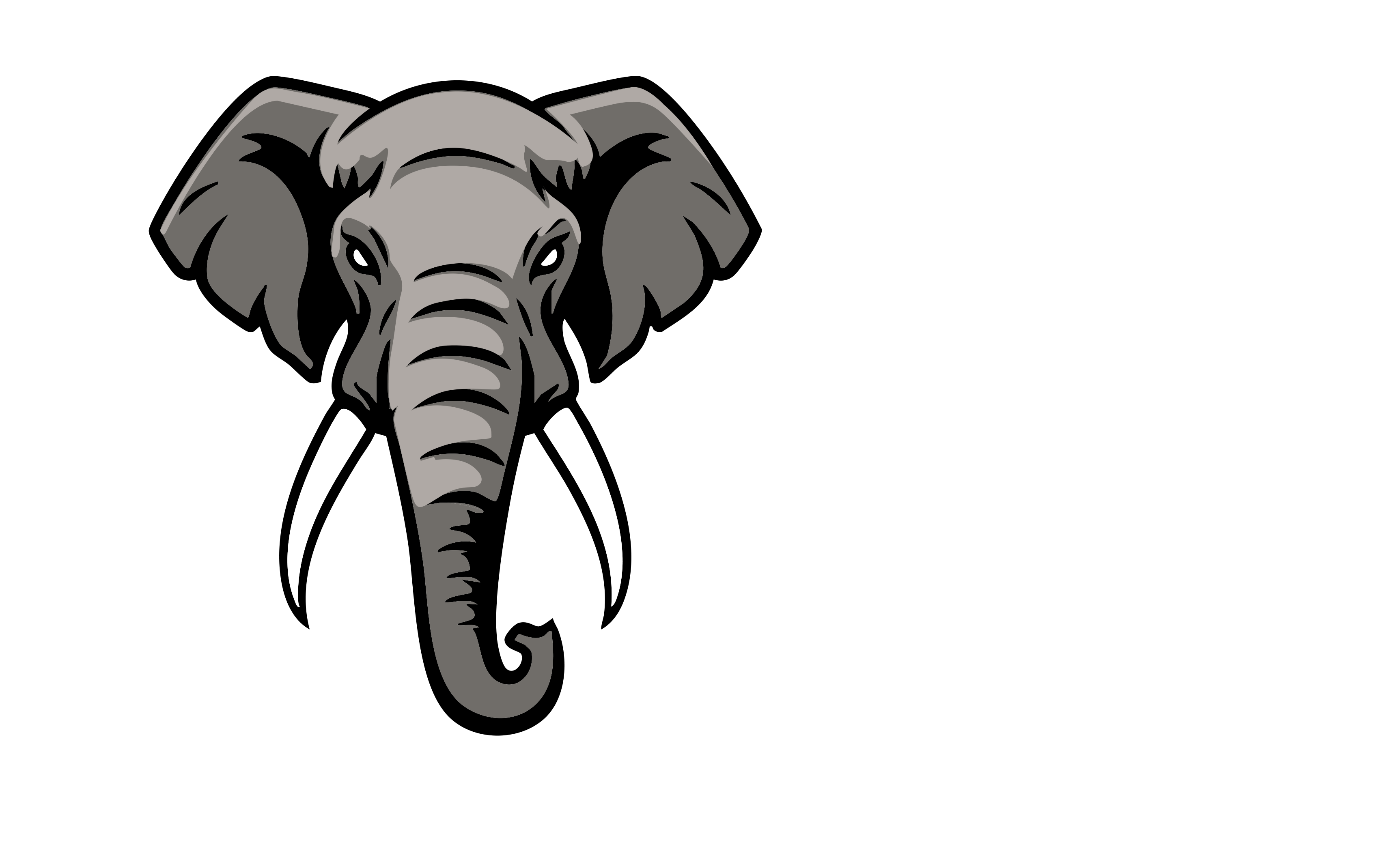 Navigate Safaris